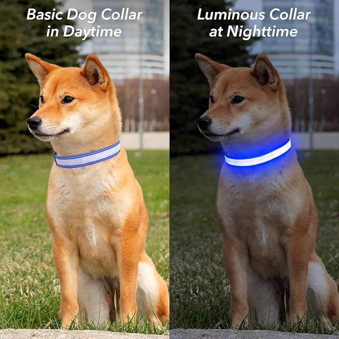 Visinite Light Up Dog Collars for Small Medium Large Dogs, Fully Adjustable LED Dog Collar USB Rechargeable, 3 Glowing Modes Pet Dog Collar, Lighted Dog Collars for Night Walking Safety