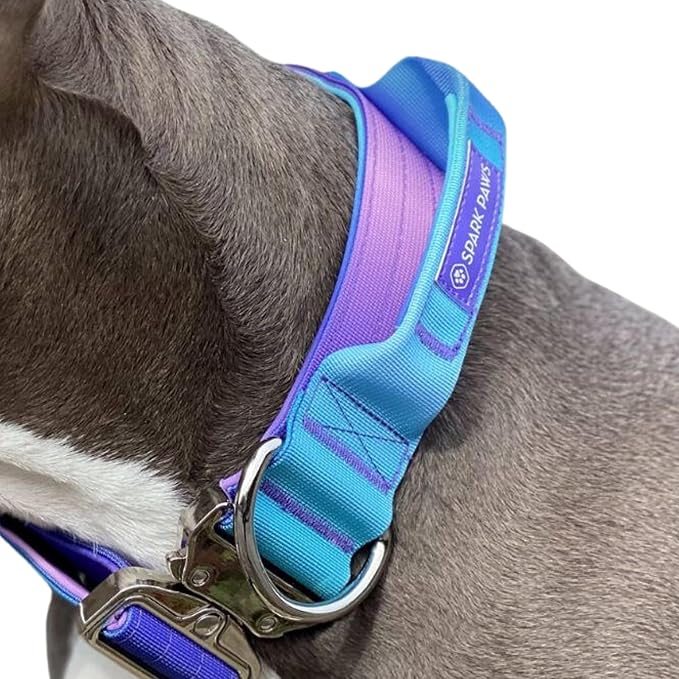 Spark Paws Tactical Dog Collar - Heavy Duty, Premium Quality, Thick and Durable for Large and Medium Dogs - 90s Retro - S - 1.5"