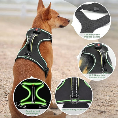 Light Up Dog Harness, No Pull LED Dog Harness with Handle, Rechargeable Lighted Safety Vest for Small Medium Large Dogs, Adjustable Soft Dog Lights for Night Walking