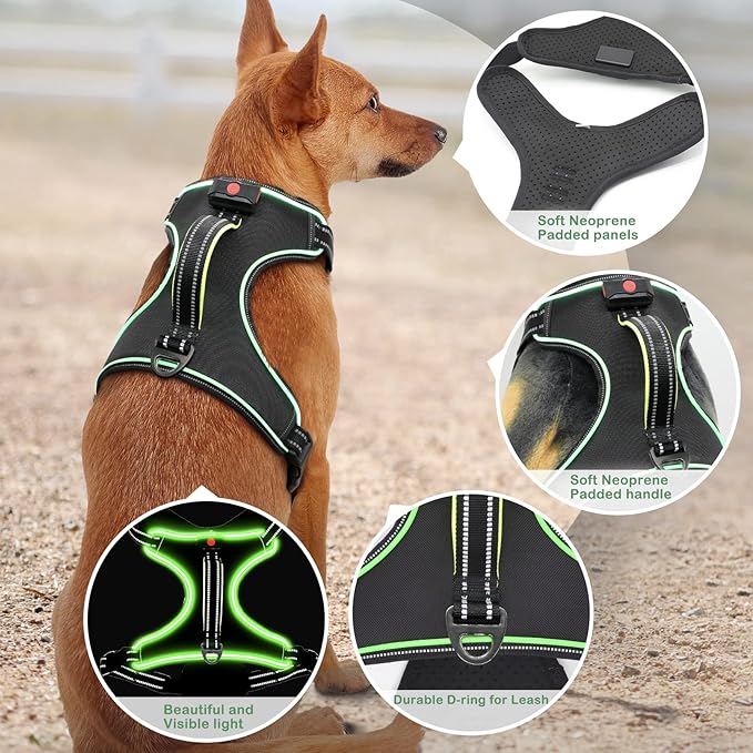 Rechargeable LED Dog Harness - No Pull, 4 Point Adjustable, Small/Medium/Large/X-Large Sizes