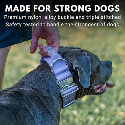 Spark Paws Tactical Dog Collar - Heavy Duty, Premium Quality, Thick and Durable for Large and Medium Dogs - Purple - S - 1.5"