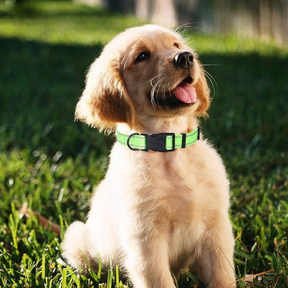 Mile High Life Reflective Dog Collar, Basic Dog Collars Adjustable Quick Release, Soft Nylon Pet Collar with Metal D-Ring for Small Medium Large Dogs (Lime, S Neck11-15")