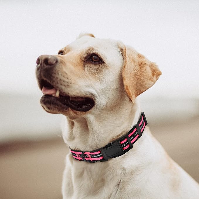 Mile High Life Reflective Dog Collar | Nylon Pet Collars wiith Buckle | Light Weight Puppy Collars | Pink Dog Collars for Small Dogs (Pink, S)