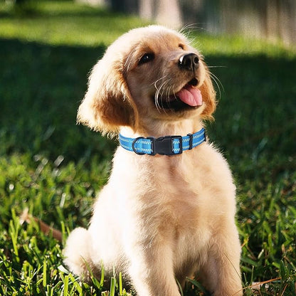 Mile High Life Reflective Dog Collar, Basic Dog Collars Adjustable Quick Release, Soft Nylon Pet Collar with Metal D-Ring for Small Medium Large Dogs (Hot Blue, S Neck11-15")
