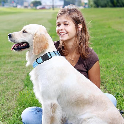 Mile High Life Reflective Dog Collar, Basic Dog Collars Adjustable Quick Release, Soft Nylon Pet Collar with Metal D-Ring for Small Medium Large Dogs (Blue, L Neck15-19")