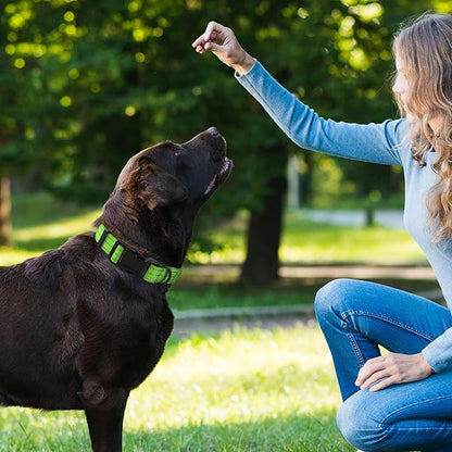 Mile High Life Dog Collar | Nylon Reflective Dog Collars | Light Weight Puppy Collars | Lime Green Dog Collars for Large Dogs (Solid Lime Green, Large)
