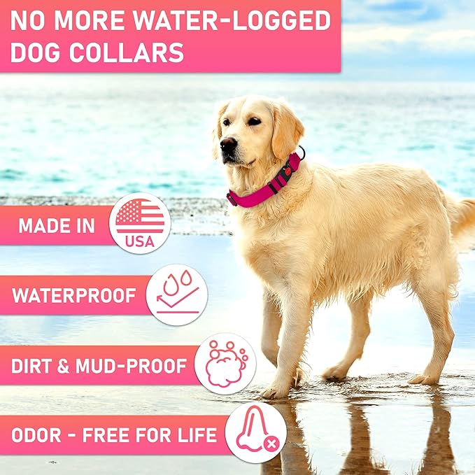 Adjustable Dog Collar with Safety Lock Buckle - Made in USA - Honeycomb Waterproof Heavy Duty Dog Collars for Medium Large Dogs - Odor Proof Pet Collar for Dogs with Strong Zinc D Ring (3/4", Pink)