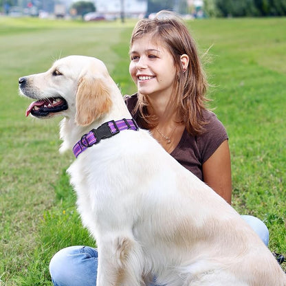Mile High Life Reflective Dog Collar, Basic Dog Collars Adjustable Quick Release, Soft Nylon Pet Collar with Metal D-Ring for Small Medium Large Dogs (Purple, L Neck15-19")