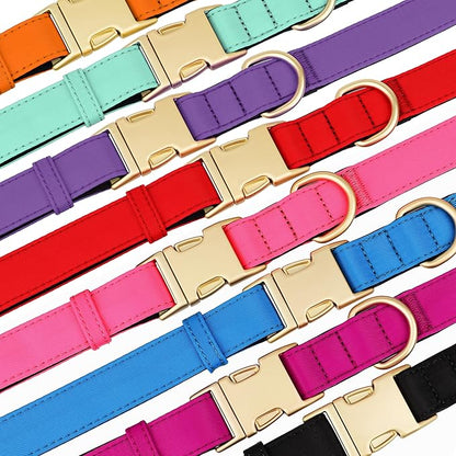 Didog Soft Padded Dog Collar for Large Dogs, Colorful and Durable Pet Collar with Quick Release Buckle, Light and Breathable for Daily Walking, Orange, L