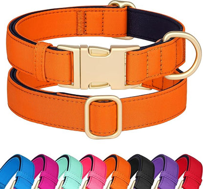 Didog Soft Padded Dog Collars for Small Dogs, Colorful and Durable Dog Collar with Quick Release Buckle, Light and Breathable for Daily Walking, Orange, S
