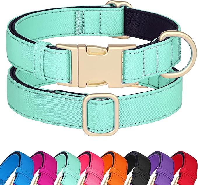 Didog Soft Padded Dog Collars for Small Dogs, Colorful and Durable Dog Collar with Quick Release Buckle, Light and Breathable for Daily Walking, Green, S